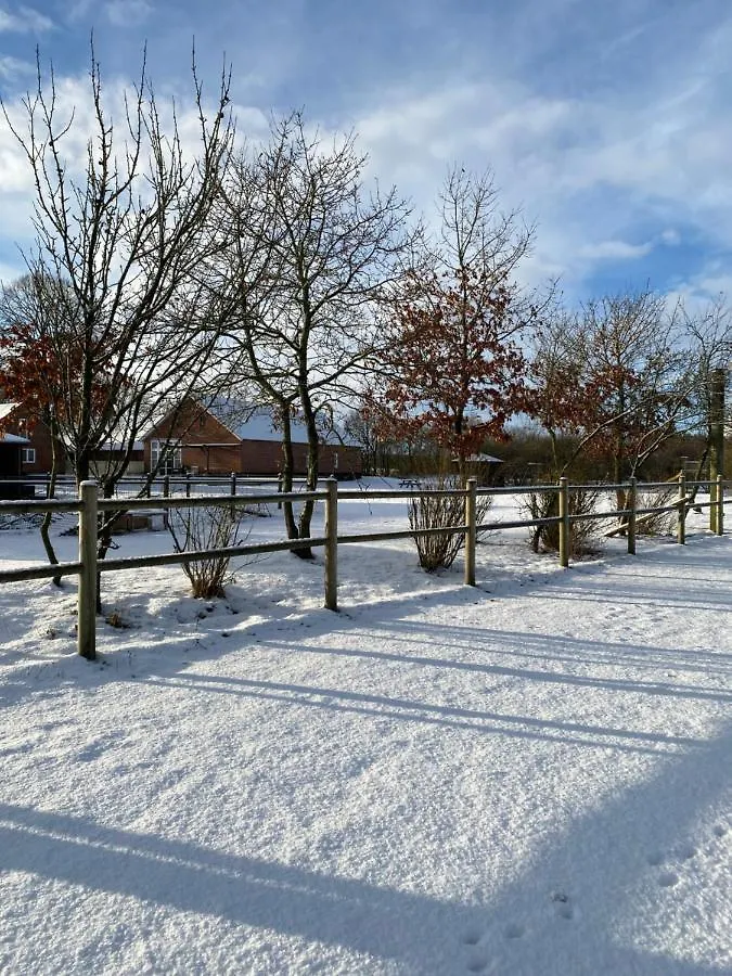 Bolding Apartments Hejnsvig 0*, Billund