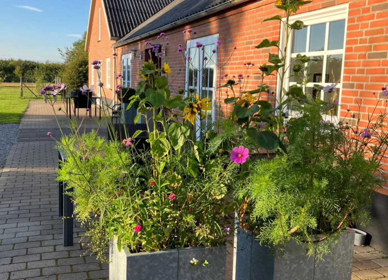 Bolding Apartments Hejnsvig